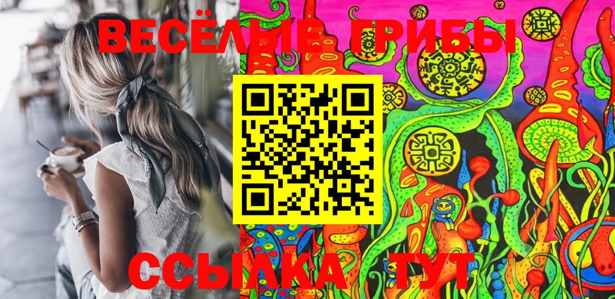 Галлюциногенные грибы MAGIC MUSHROOMS  Вход с VPN  Волоколамск 